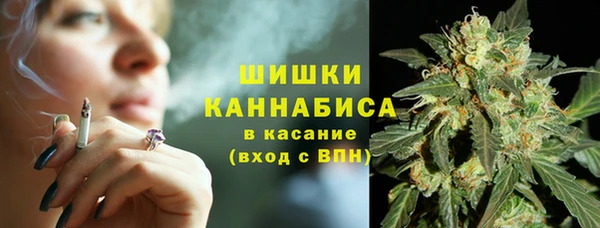 гидра Инсар