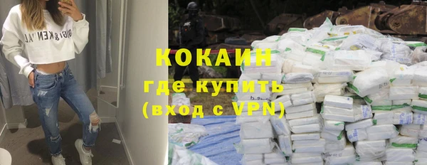прущие грибы Инта