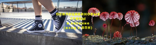 прущие грибы Инта