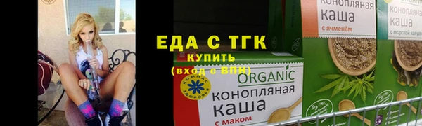прущие грибы Инта