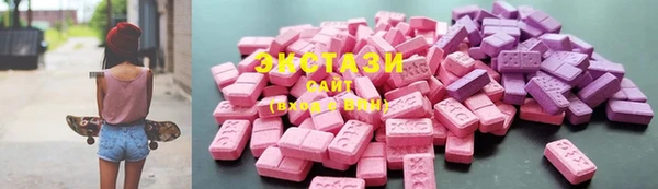 прущие грибы Инта