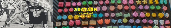 прущие грибы Инта
