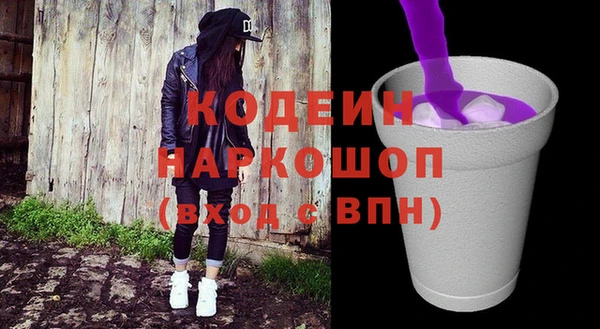 гидра Инсар