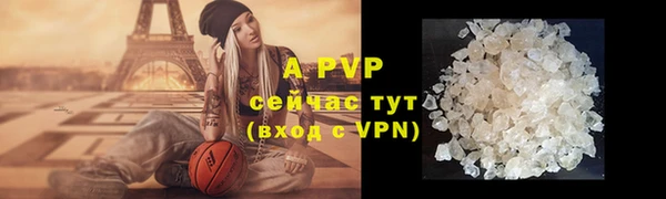гидра Инсар