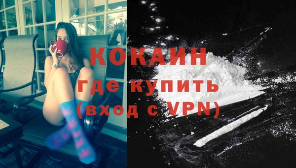 гидра Инсар