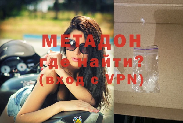 прущие грибы Инта