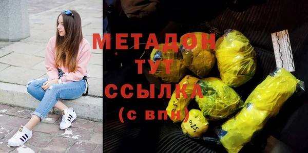 прущие грибы Инта