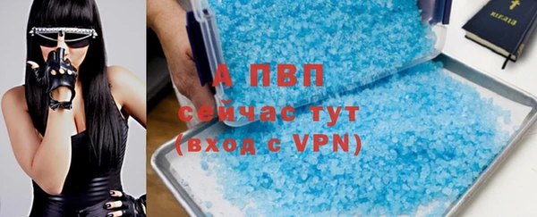прущие грибы Инта