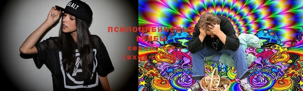 прущие грибы Инта