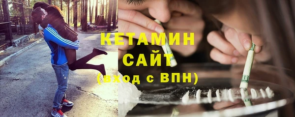 гидра Инсар