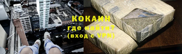 гидра Инсар