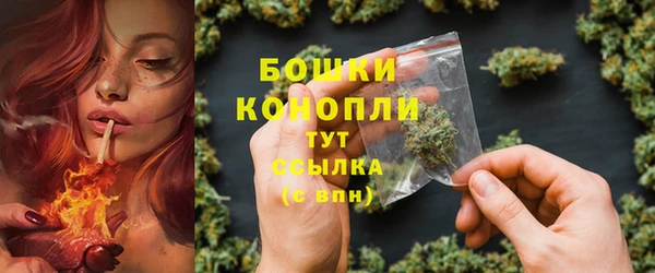 прущие грибы Инта