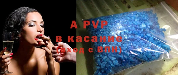 гидра Инсар