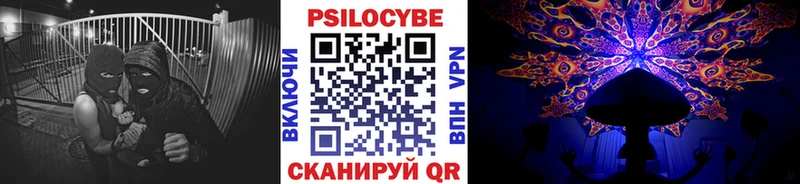 Псилоцибиновые грибы GOLDEN TEACHER  Купить где  Нолинск 